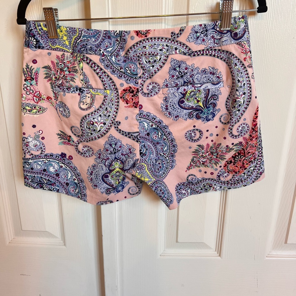 Express Shorts - Picture 2 of 4